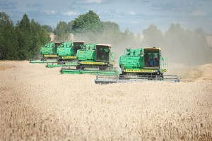 В Украине прогнозированный урожай намолоченного зерна уже выполнен на 95%